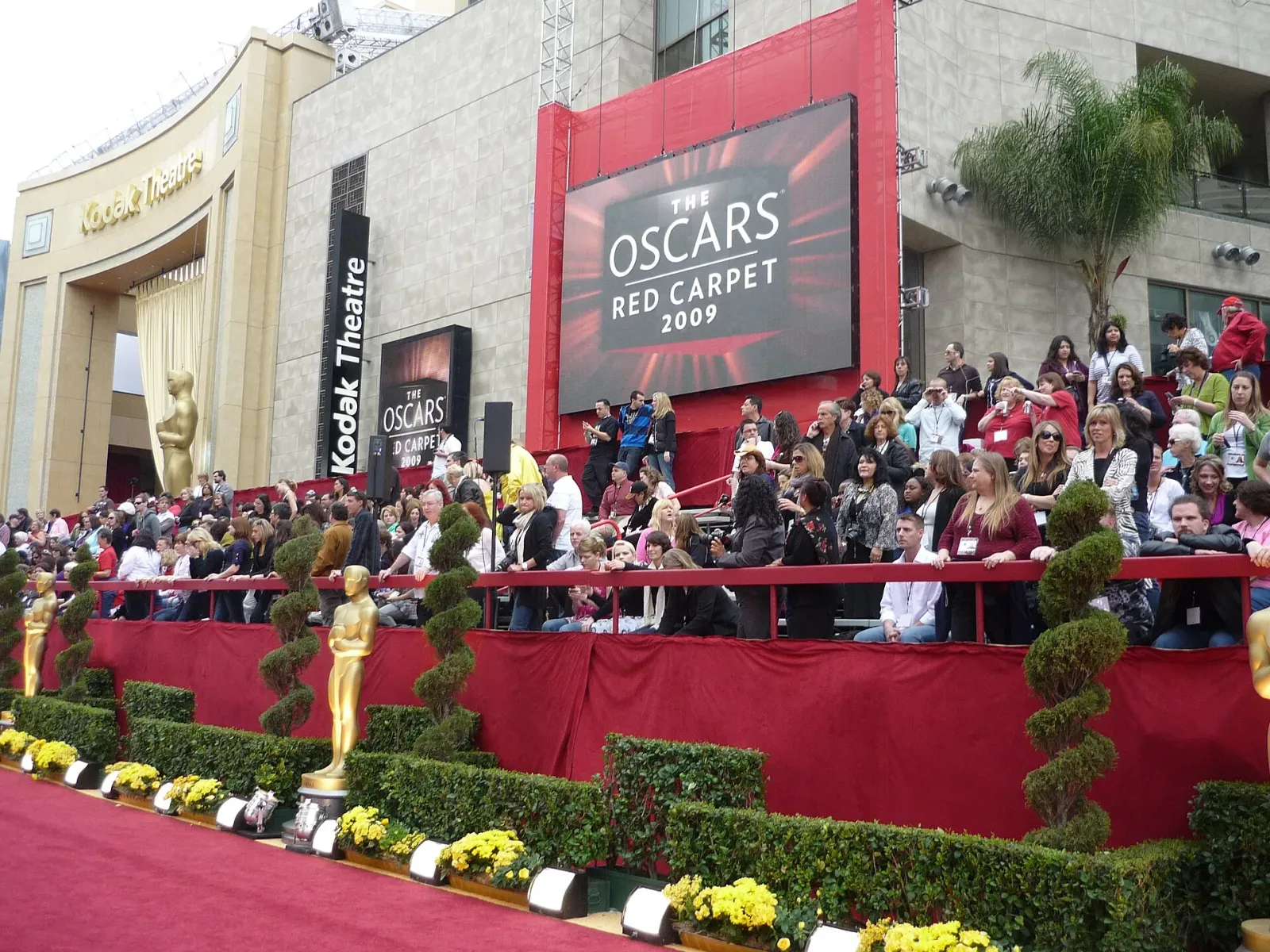The Oscar Goes To
