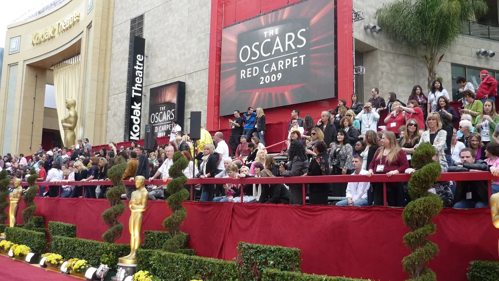 The Oscar Goes To